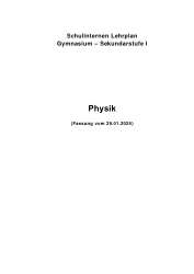 Curriculum Physik S1
