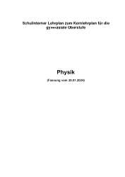 Curriculum Physik S2